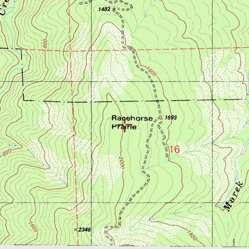 Topographic Map of Racehorse Prairie, CA