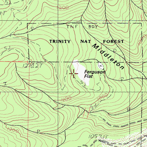 Topographic Map of Ferguson Flat, CA