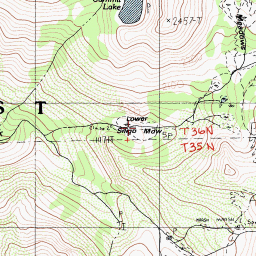 Topographic Map of Lower Siligo Meadow, CA
