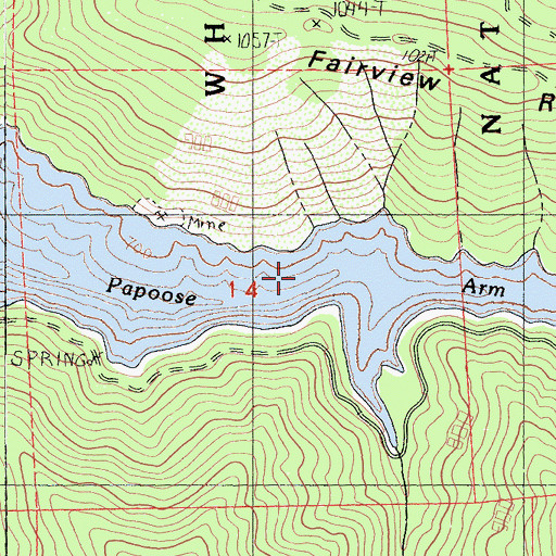 Topographic Map of Papoose Arm, CA