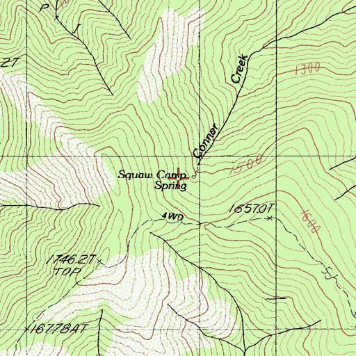 Topographic Map of Squaw Camp Spring, CA