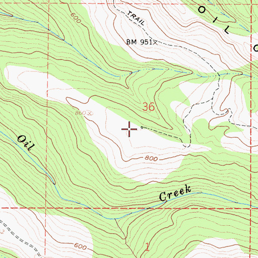 Topographic Map of Comisto Ranch (historical), CA