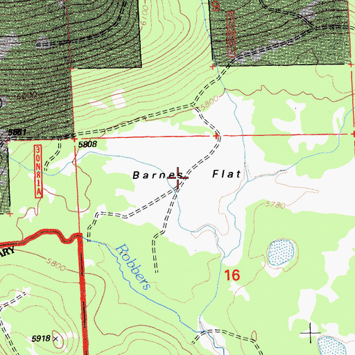 Topographic Map of Barnes Flat, CA