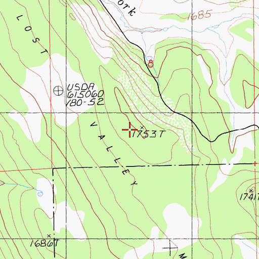 Topographic Map of Lost Valley Mountain, CA