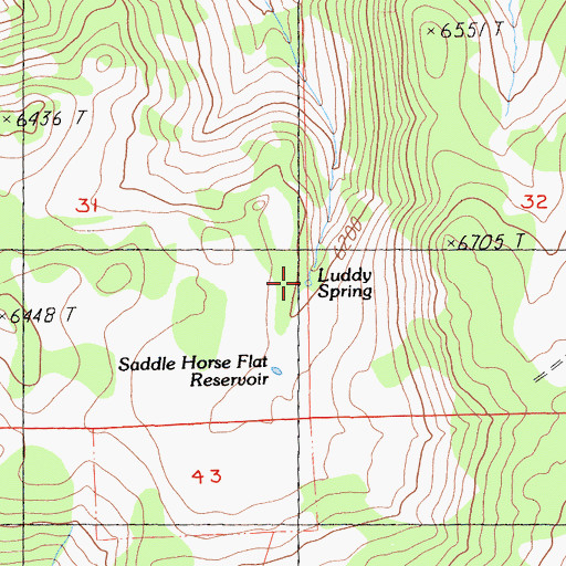 Topographic Map of Luddy Spring, CA