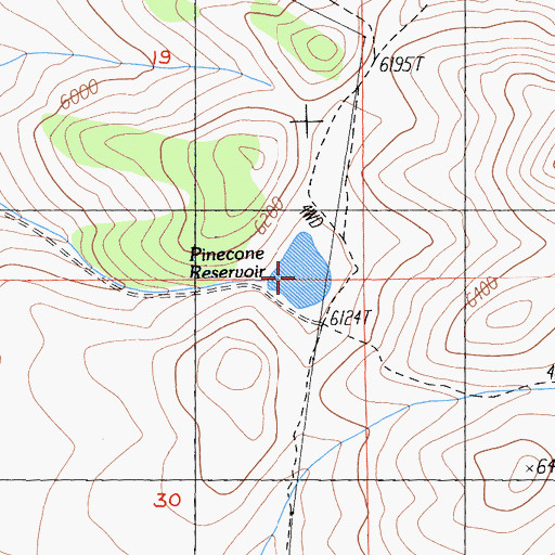 Topographic Map of Pinecone Reservoir, CA