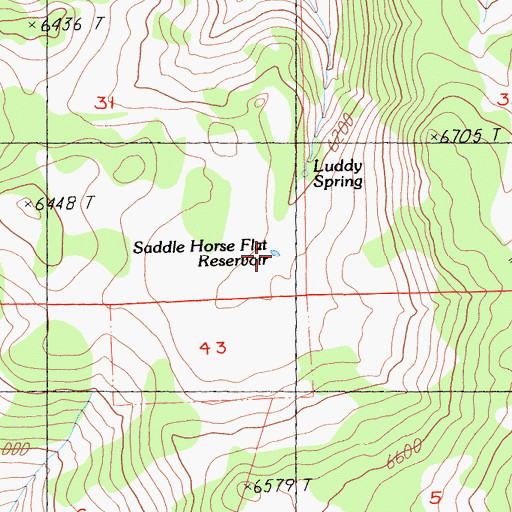 Topographic Map of Saddle Horse Flat Reservoir, CA