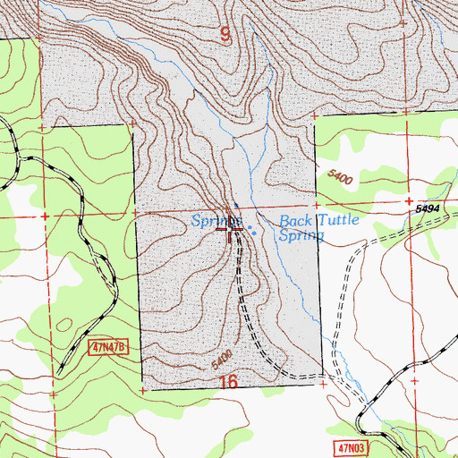 Topographic Map of Back Tuttle Spring, CA