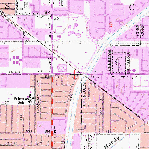 Topographic Map of Bingham, CA