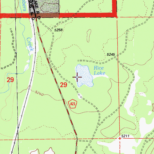 Topographic Map of Rice Lake, CA