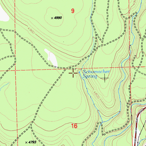Topographic Map of Schumacher Spring, CA