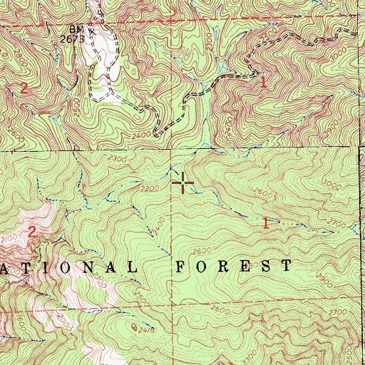 Topographic Map of Los Burros Mine, CA