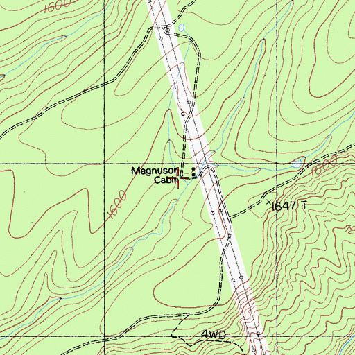 Topographic Map of Magnuson Cabin, CA