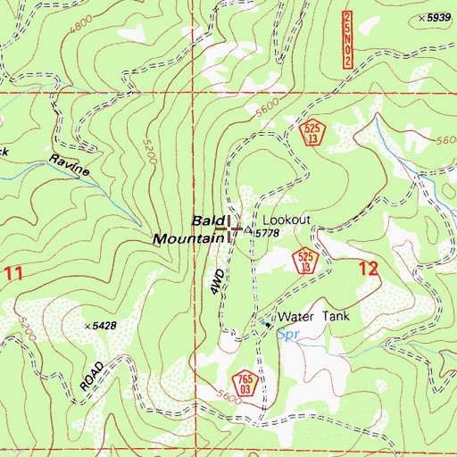 Topographic Map of Bald Mountain, CA