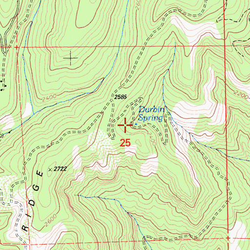 Topographic Map of Durbin Spring, CA