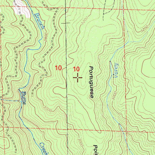 Topographic Map of Portuguese Point, CA