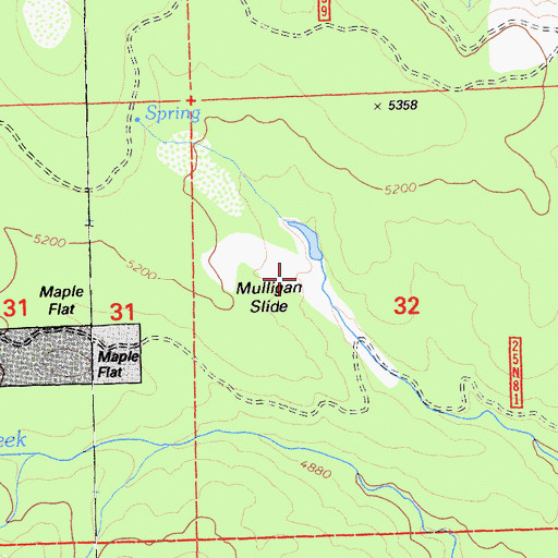 Topographic Map of Mulligan Slide, CA