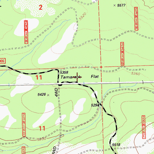 Topographic Map of Tamarack Flat, CA