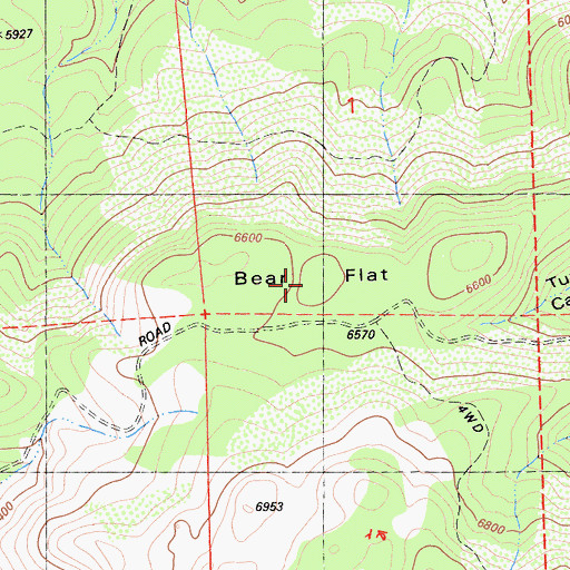 Topographic Map of Bear Flat, CA