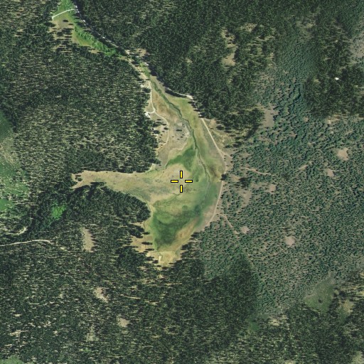 Aerial/Satellite Image of Pats Meadow, CA