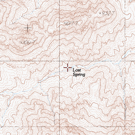 Topographic Map of Lost Spring, CA