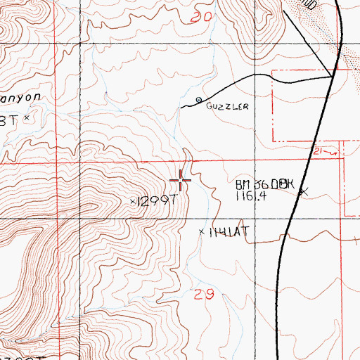 Topographic Map of Borrego Canyon, CA