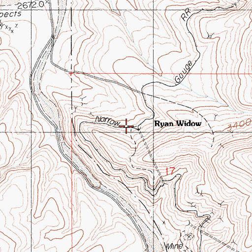 Topographic Map of Ryan Widow, CA