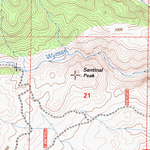 Topographic Map of Sentinal Peak, CA