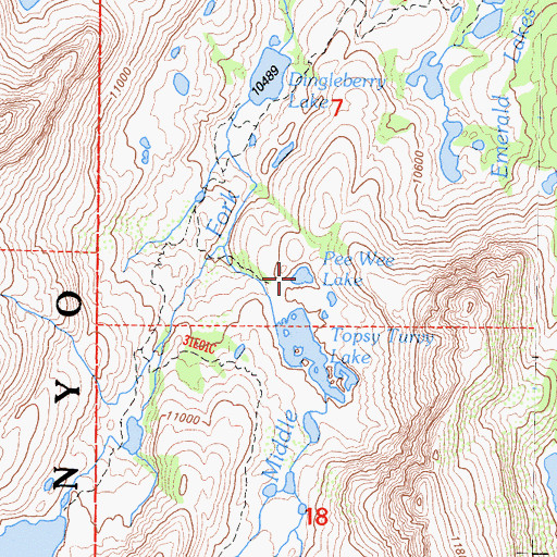 Topographic Map of Pee Wee Lake, CA