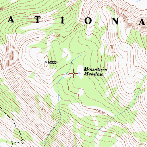 Topographic Map of Mountain Meadow, CA