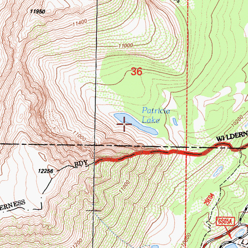 Topographic Map of Patricia Lake, CA