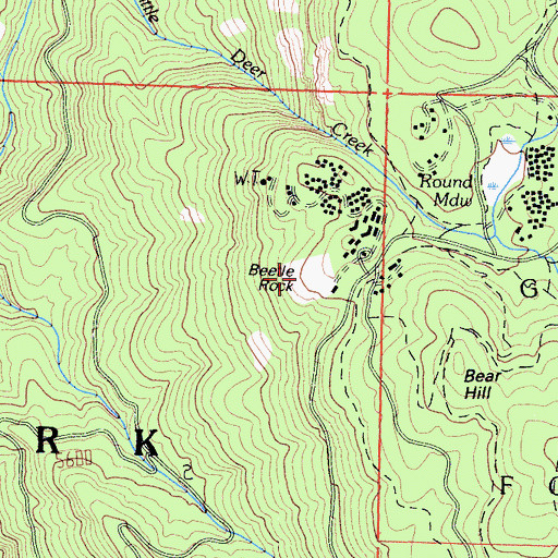 Topographic Map of Beetle Rock, CA