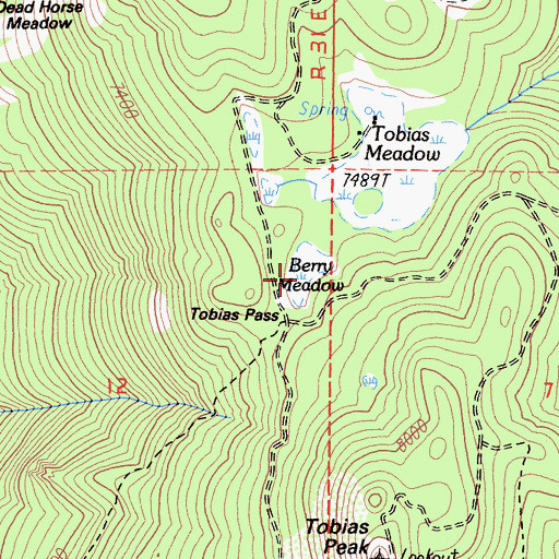 Topographic Map of Berry Meadow, CA