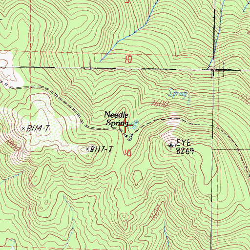 Topographic Map of Needle Spring, CA