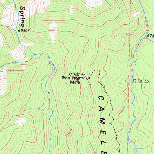Topographic Map of Pine Tree Mine, CA