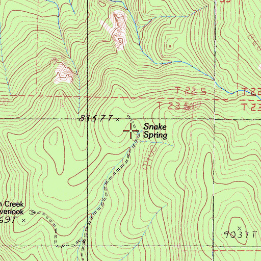 Topographic Map of Snake Spring, CA