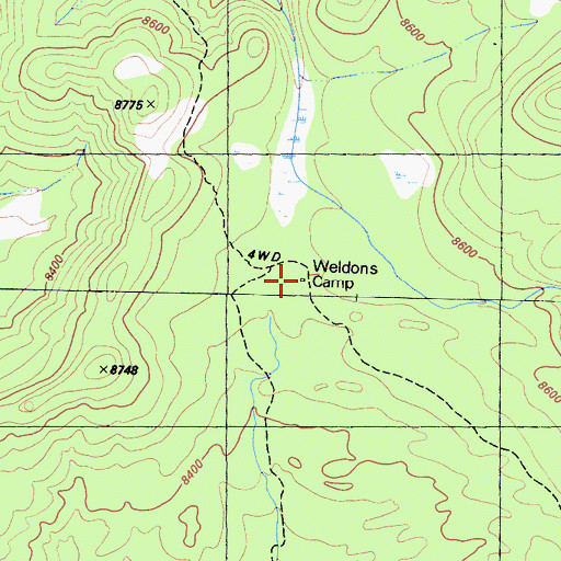 Topographic Map of Weldons Camp, CA