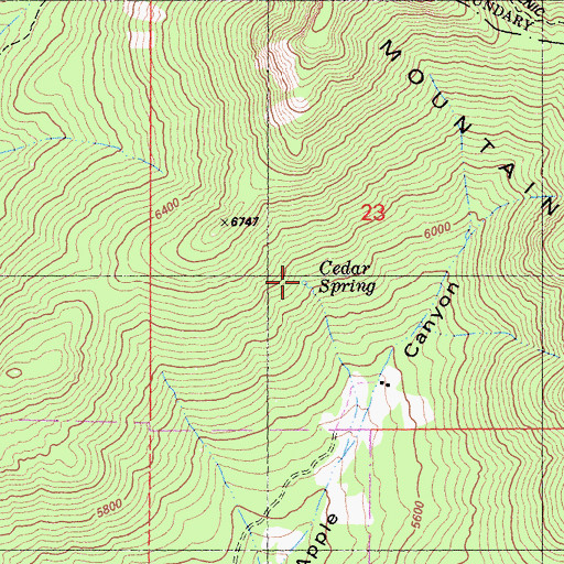 Topographic Map of Cedar Spring, CA