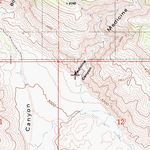 Topographic Map of Medicine Canyon, CA