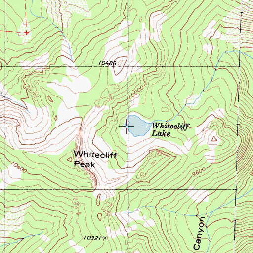 Topographic Map of Whitecliff Lake, CA