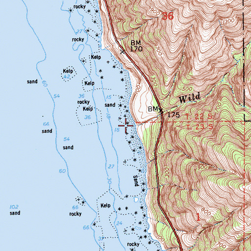 Topographic Map of Wild Cattle Creek, CA