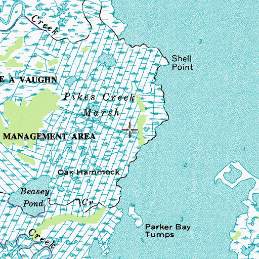 Topographic Map of Sassafras Hammock, MD
