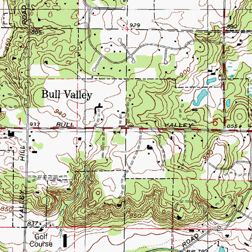 Topographic Map of Bull Valley, IL