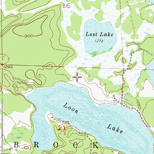 Topographic Map of Bass Brook, MN