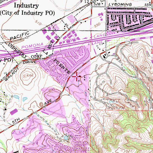 Topographic Map of Silver Peak Ranch (historical), CA
