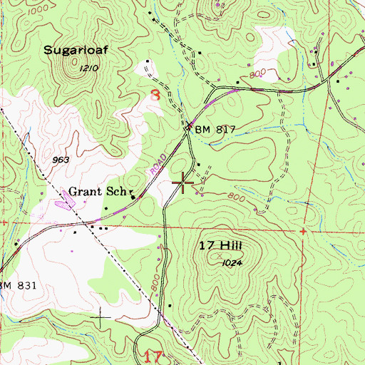 Topographic Map of Silver King Mine, CA