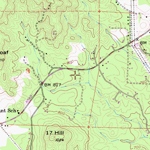 Topographic Map of White Girl Mine, CA