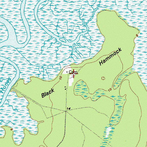 Topographic Map of Black Hammock Cemetery, GA