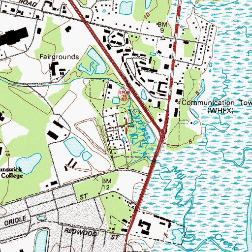 Topographic Map of Demere Hammock, GA