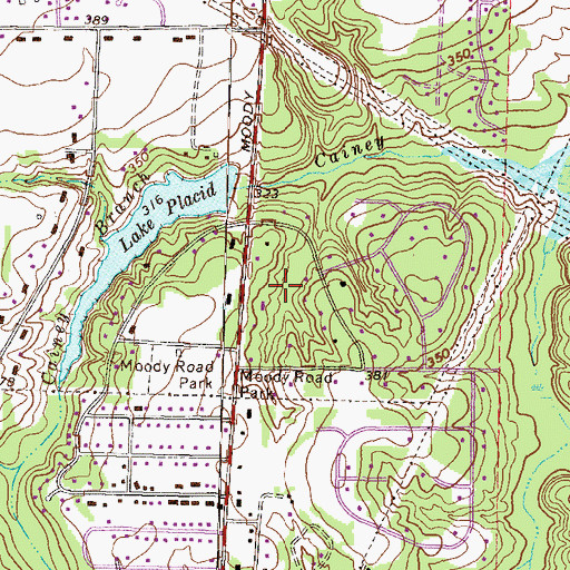 Topographic Map of Hickory Woods, GA